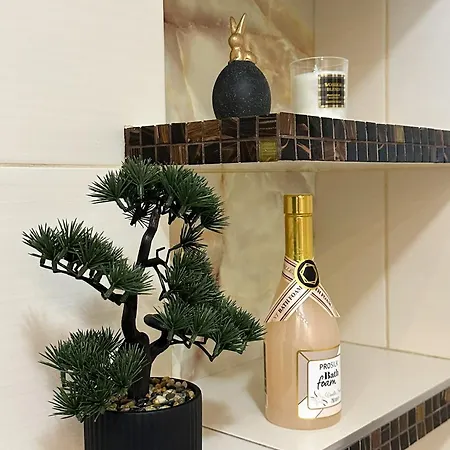 Opera Centrum Pks Pkp Apartment Czestochowa